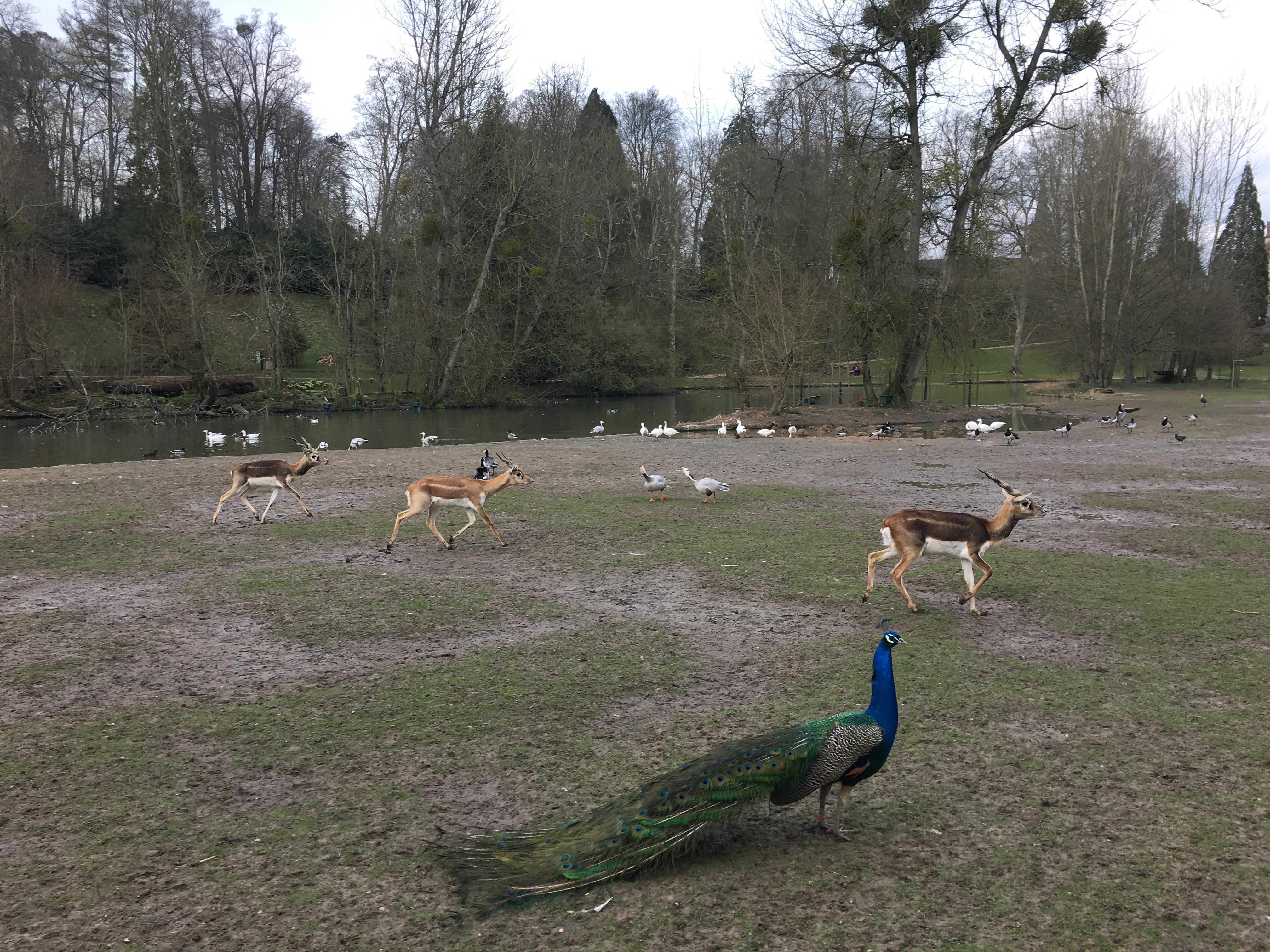 Photo n° 6 de l'avis de Julien.u fait le 23/06/2018 à 00:40