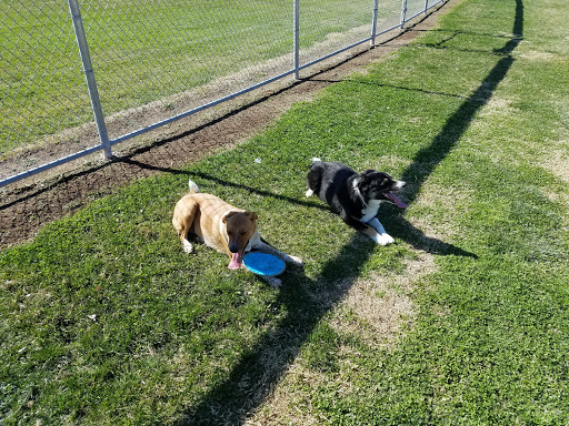 Park «Goynes Park», reviews and photos, 3909 W Washburn Rd, North Las Vegas, NV 89031, USA