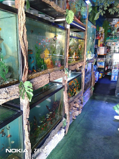 Tienda de peces tropicales Cuautitlán Izcalli