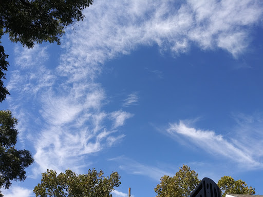 Park «Cherrywood Park», reviews and photos, 5400 Cedar Springs Rd, Dallas, TX 75235, USA