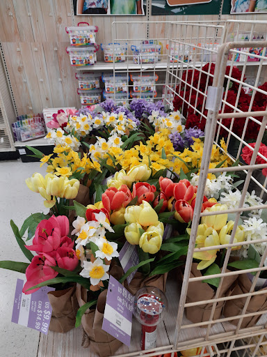 Craft Store «Michaels», reviews and photos, 1206 Bridford Pkwy C, Greensboro, NC 27407, USA