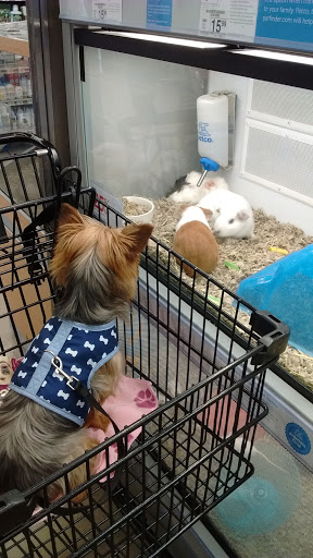 Pet Supply Store «Petco Animal Supplies», reviews and photos, 5925 US-6, Portage, IN 46368, USA