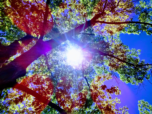 Park «Washington Park», reviews and photos, 701 S Franklin St, Denver, CO 80209, USA