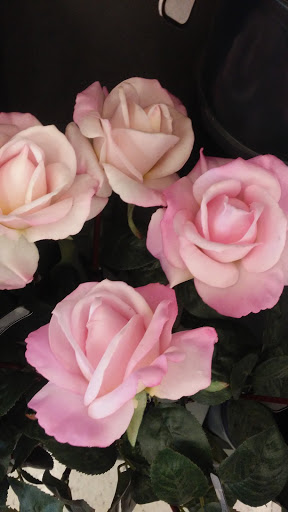 Craft Store «Hobby Lobby», reviews and photos, 3925 Dodge St, Dubuque, IA 52003, USA