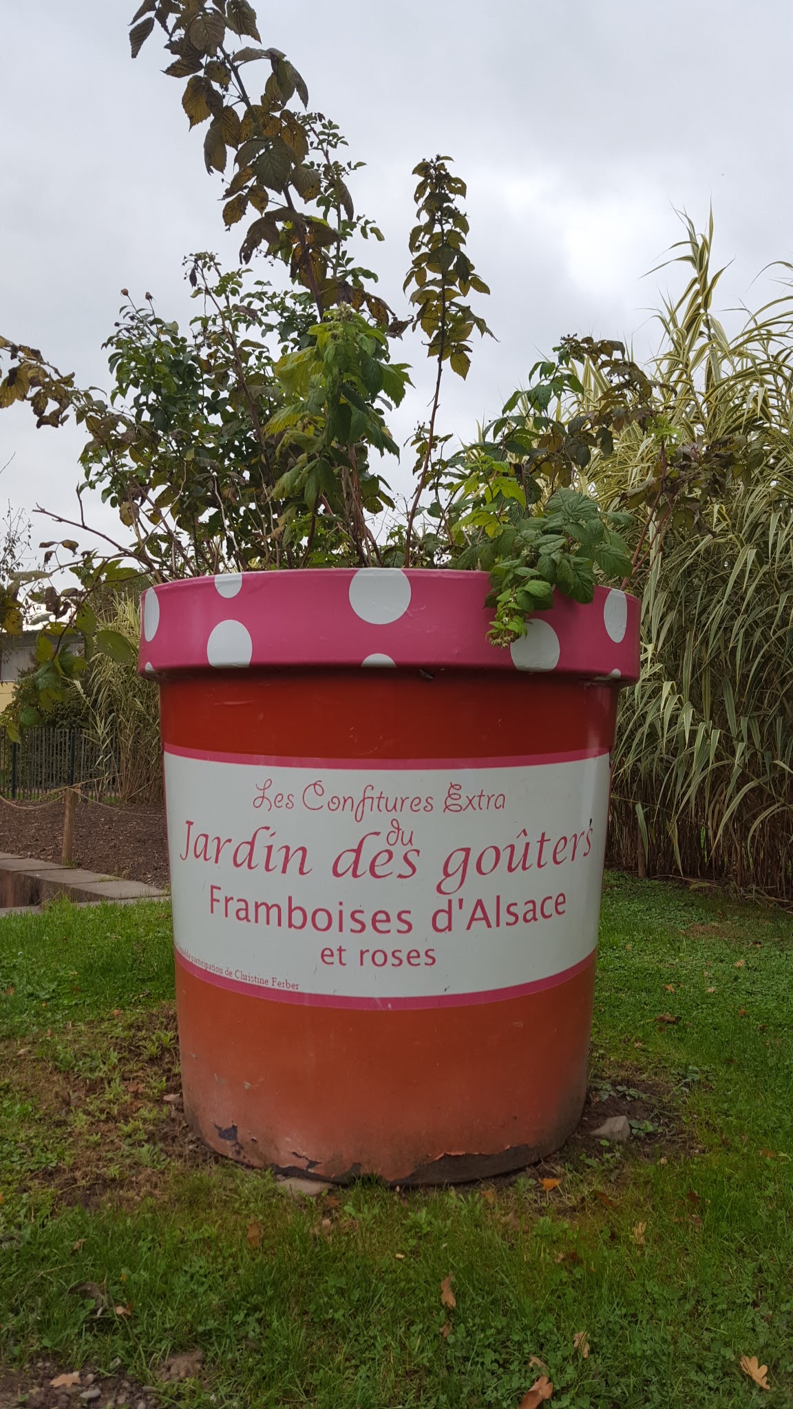 Photo n° 4 de l'avis de Laetitia.d fait le 07/03/2017 à 15:23