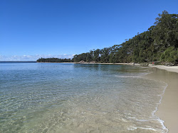 Zdjęcie Orion Beach z poziomem czystości wysoki
