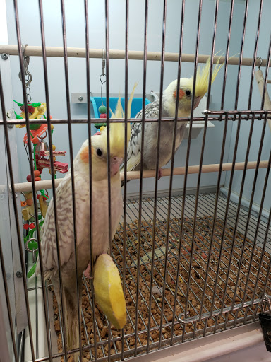 Pet Supply Store «Pet Supplies Plus», reviews and photos, 2500 S Main St, Rice Lake, WI 54868, USA