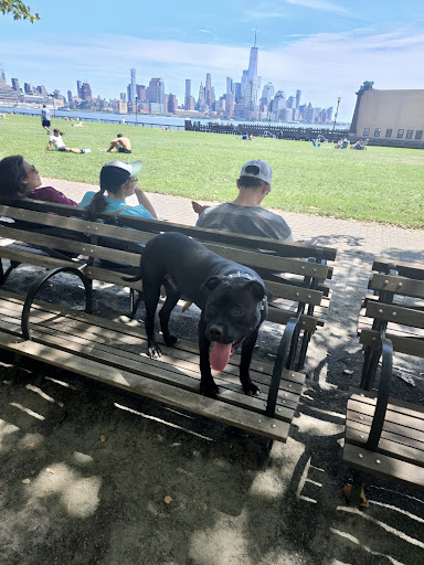 Pet Supply Store «Ace Pet Supply & K-9 Center Inc», reviews and photos, 206 Vanderpool St, Newark, NJ 07114, USA