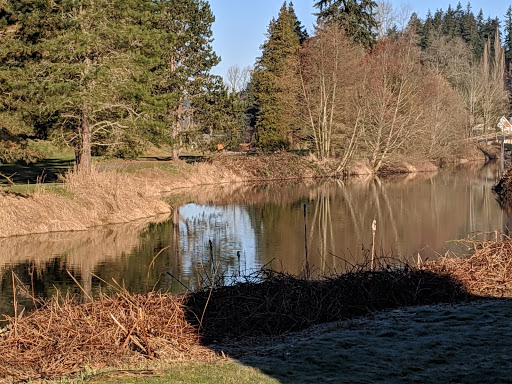 Golf Course «Wayne Public Golf Course», reviews and photos, 16721 96th Ave NE, Bothell, WA 98011, USA