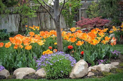 Landscaper «Elite Grounds L.C.», reviews and photos, 800 S Main St, Pleasant Grove, UT 84062, USA