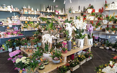 La fleur au quotidien à Cestas