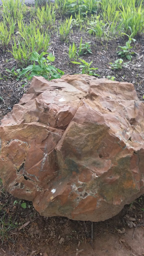 Museum «Delaware Museum of Natural History», reviews and photos, 4840 Kennett Pike, Wilmington, DE 19807, USA