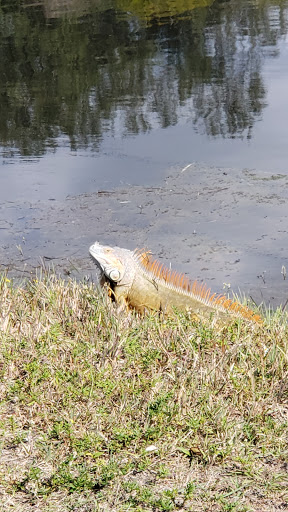 Park «Sunset Park», reviews and photos, 10600 Cleary Blvd, Plantation, FL 33324, USA