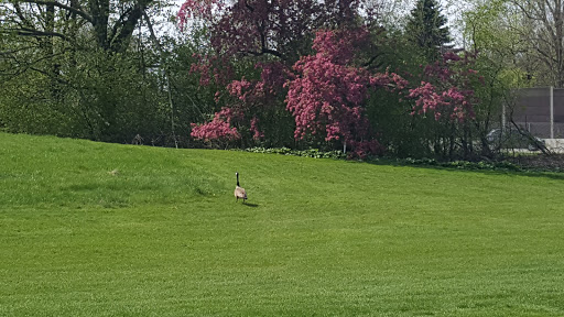 Golf Club «Odana Hills Golf Course», reviews and photos, 4635 Odana Rd, Madison, WI 53711, USA