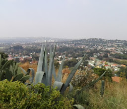 Eastgate Palms Lodge photo