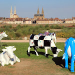 Photo n° 4 de l'avis de Gerard.a fait le 10/10/2018 à 03:55 pour Aire de camping-cars municipale à Sully-sur-Loire