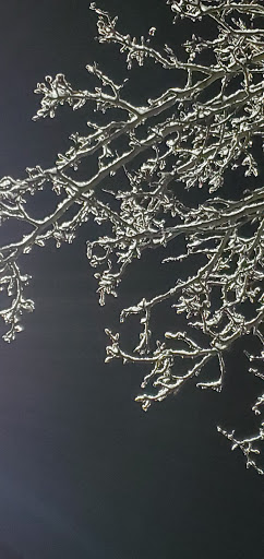 Discount Store «Walmart», reviews and photos, 2150 E National Ave, Brazil, IN 47834, USA