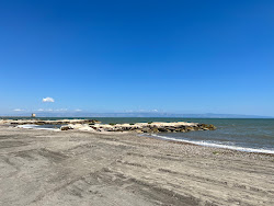 Foto di Lido Il Fenicottero Rosa Beach e l'insediamento