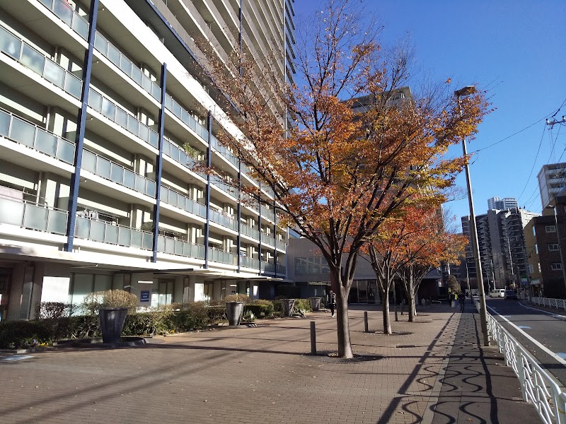 Tokyo Front Court Evergreen Wing