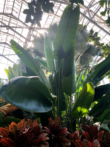 Gift Shop «Meijer Gardens Gift Shop», reviews and photos, 1000 E Beltline Ave NE, Grand Rapids, MI 49525, USA