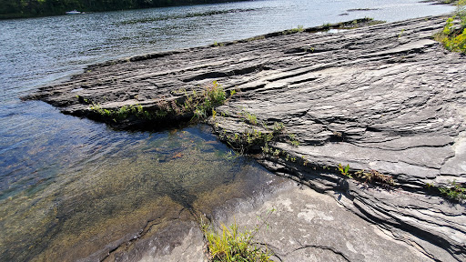 Tourist Attraction «Dinosaur Footprints», reviews and photos, US-5, Holyoke, MA 01040, USA