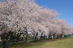 Higashinakanofureai Park image