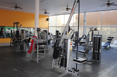 MAXIMUS GYM HOUSE