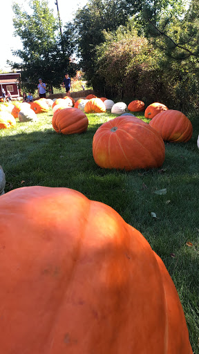 Gift Shop «Meijer Gardens Gift Shop», reviews and photos, 1000 E Beltline Ave NE, Grand Rapids, MI 49525, USA