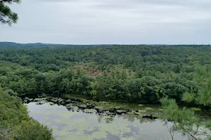 Ross Pond State Park image