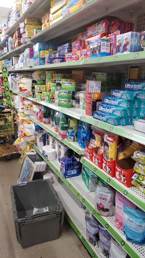 Discount Store «Dollar General», reviews and photos, 1504 Allen St, Springfield, MA 01118, USA