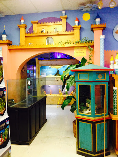 Pet Store «Forever Pets Inc», reviews and photos, 1030 Basse Rd, San Antonio, TX 78212, USA
