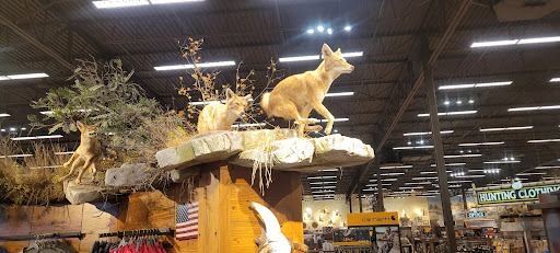 Sporting Goods Store «Bass Pro Shops», reviews and photos, 200 Bass Pro Dr, Round Rock, TX 78665, USA