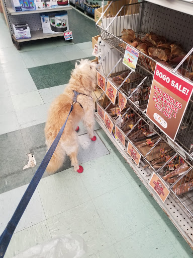 Petland Discounts - Flatbush Ave.