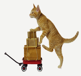 Pet Store «Mouthfuls Pet Supply Store», reviews and photos, 4224 Tennyson St, Denver, CO 80212, USA