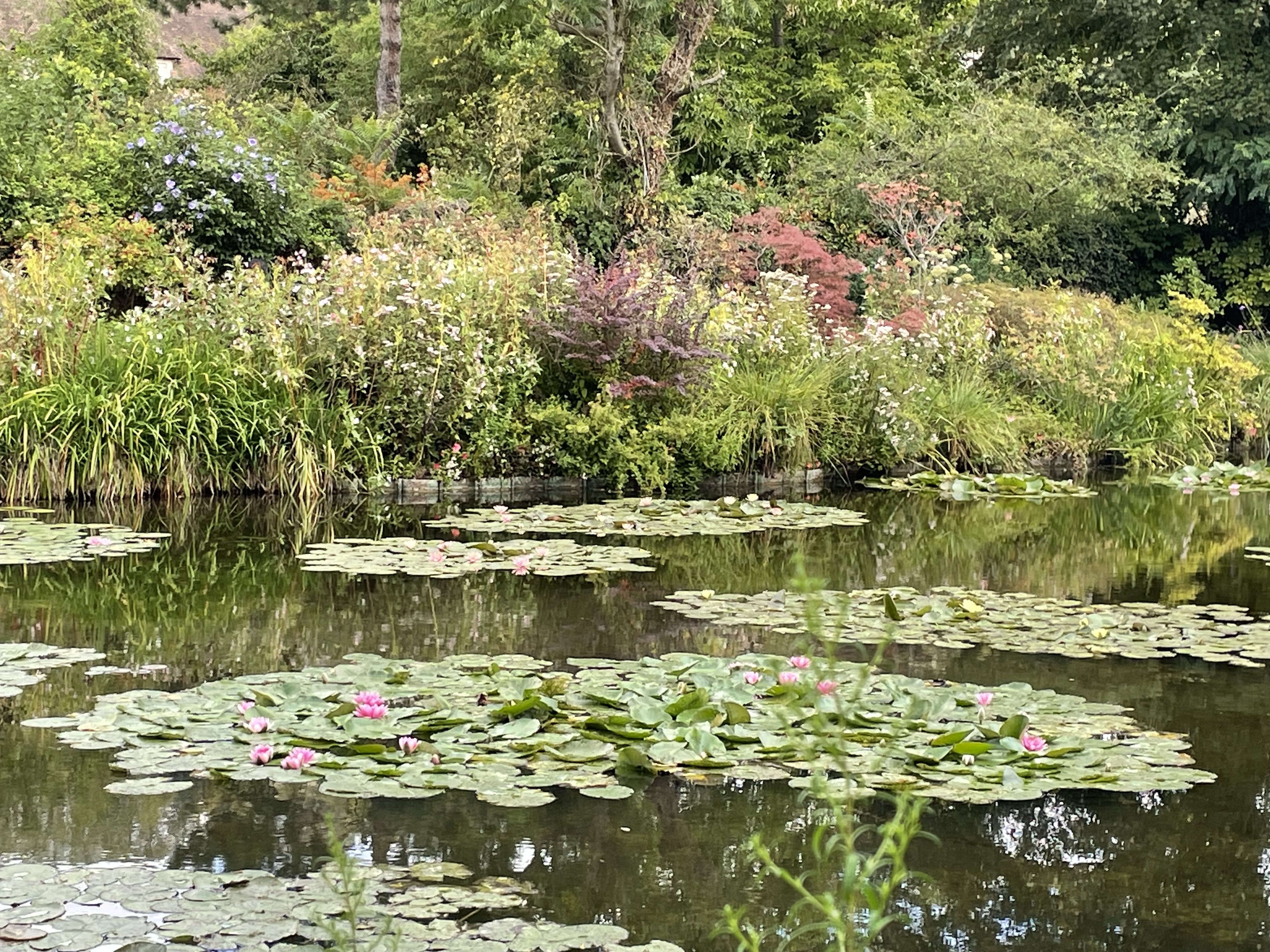 Photo n° 17 de l'avis de Sil.e fait le 29/08/2023 à 15:53