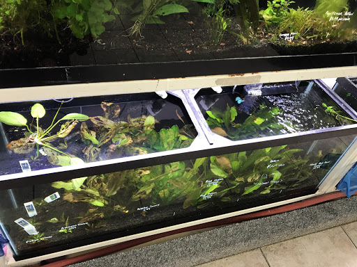 Pet Store «Animal Ark Pet Stores», reviews and photos, 33 Center St, Orem, UT 84057, USA