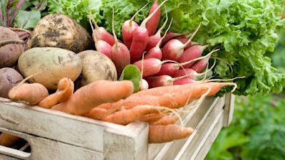 Potimarron - Produits de la ferme livrés à domicile à Rouen