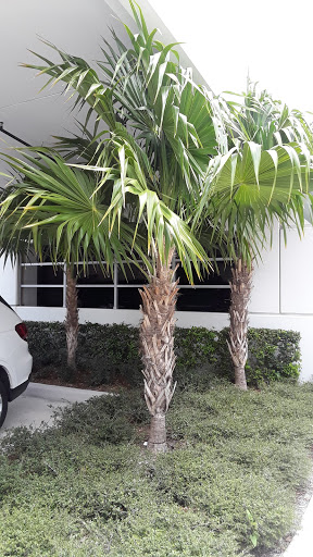 BMW Dealer «Braman BMW Jupiter», reviews and photos, 1555 W Indiantown Rd, Jupiter, FL 33458, USA