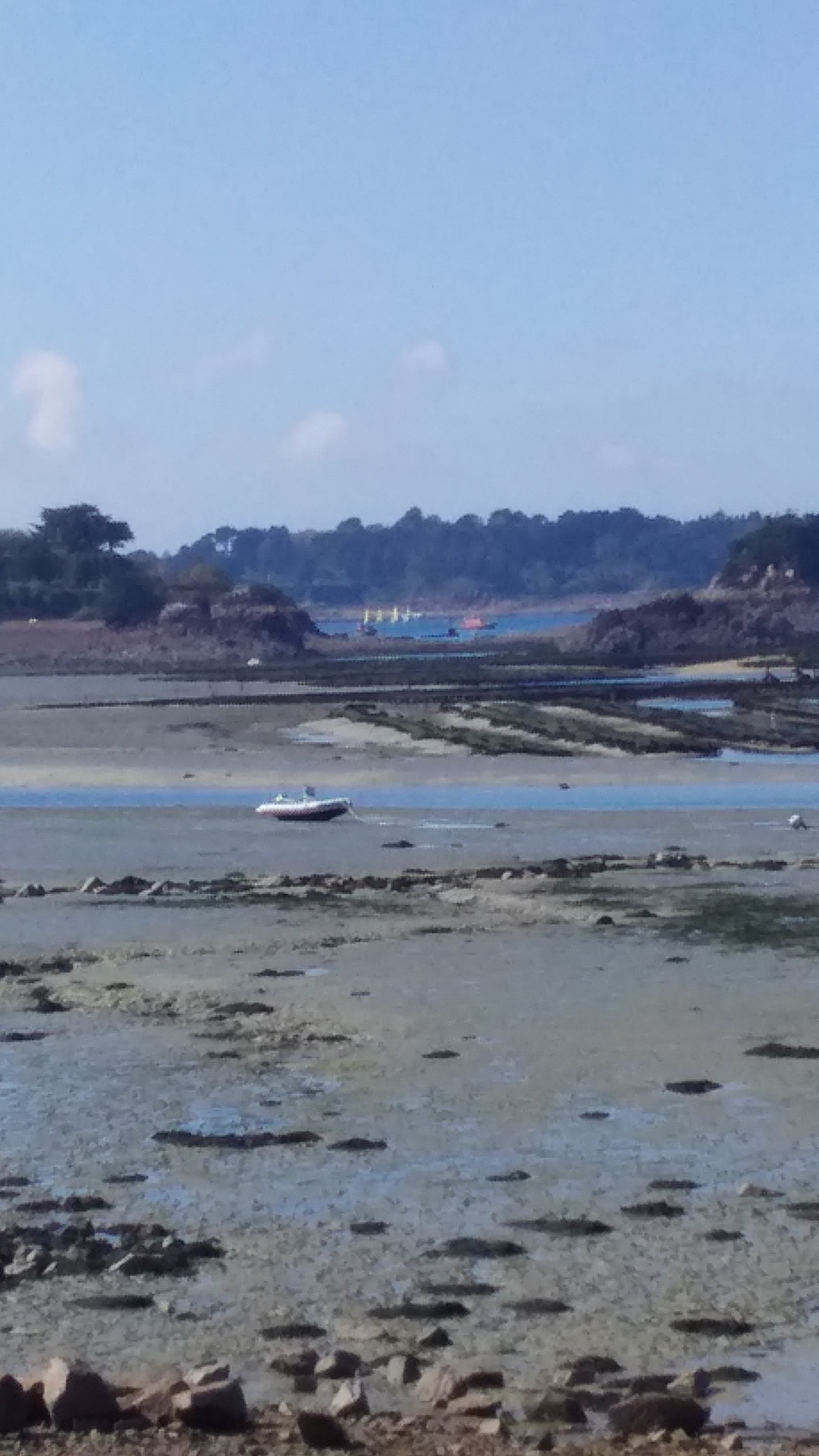Photo n° 2 de l'avis de Aude.o fait le 10/04/2019 à 14:31