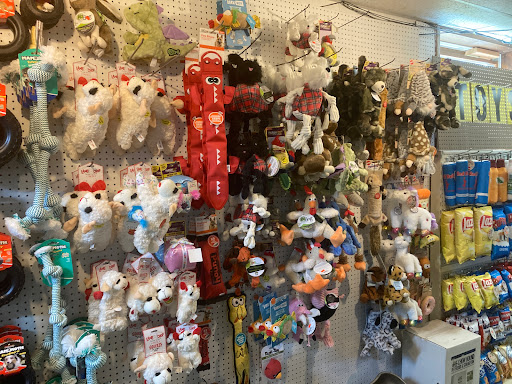 Animal House, 1509 S Black Horse Pike, Williamstown, NJ 08094, USA, 