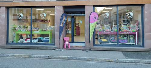 Crok'n Dog à Val-de-Moder