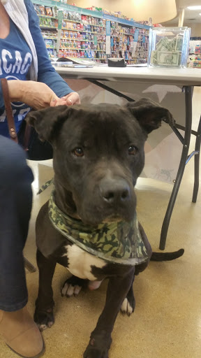 Pet Supply Store «PetSmart», reviews and photos, 162 S Gary Ave, Bloomingdale, IL 60108, USA