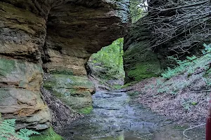 Welton's Gorge Preserve image