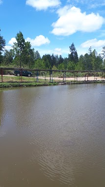 Kolam Pancing Pak Rini
