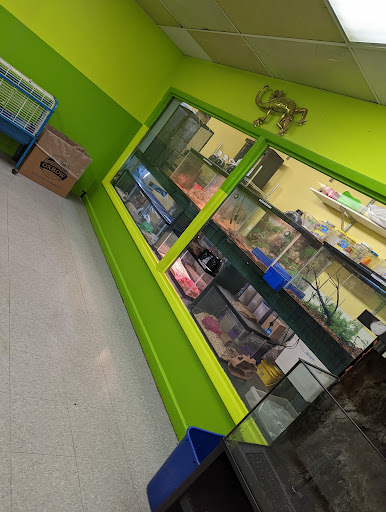 Pet Store «Coral Reef Pet Center», reviews and photos, 7723 W Lawrence Ave, Norridge, IL 60706, USA