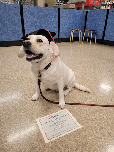 Pet Supply Store «PetSmart», reviews and photos, 9921 Pulaski Hwy, Baltimore, MD 21220, USA