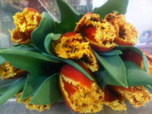 Florist «Anna Held Floral Studio», reviews and photos, 5557 N Sheridan Rd, Chicago, IL 60640, USA