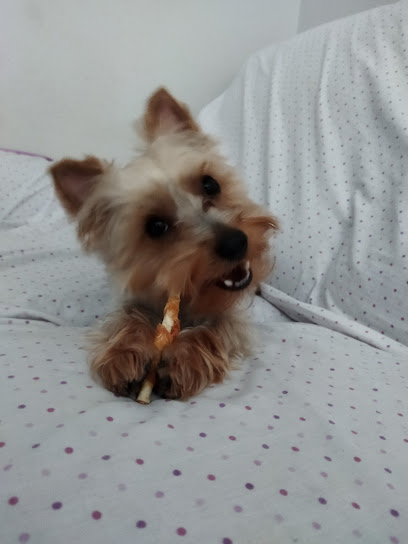 Peluquería canina Con Maña - Servicios para mascota en Calahorra