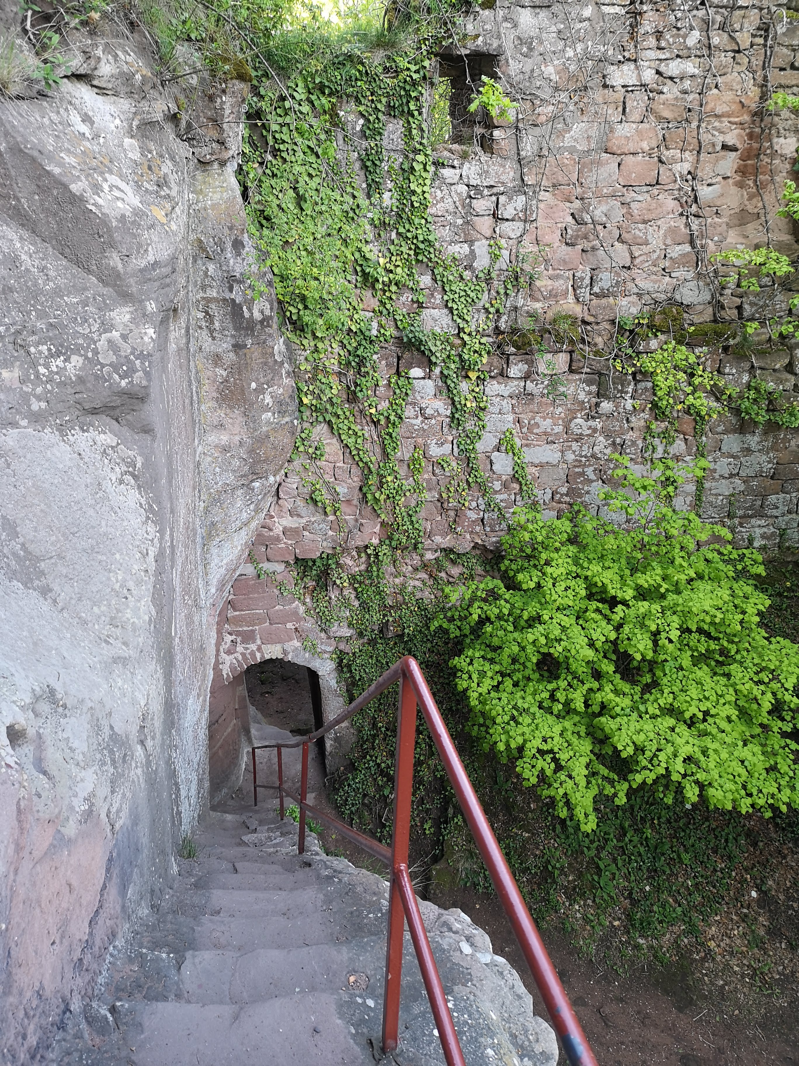 Photo n° 1 de l'avis de Jiri.a fait le 10/05/2019 à 07:54