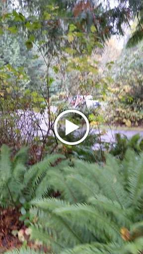 Nature Preserve «Redmond Watershed Preserve», reviews and photos, 21760 NE Novelty Hill Rd, Redmond, WA 98053, USA